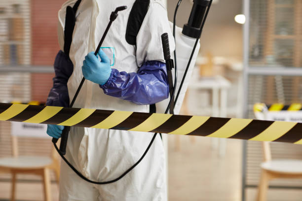 Professional Infectious Disease Decontamination technician working in Big Bear City, CA