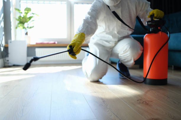 Reliable Infectious Disease Decontamination contractor in Big Bear City, CA by Crime Scene Cleaner Online